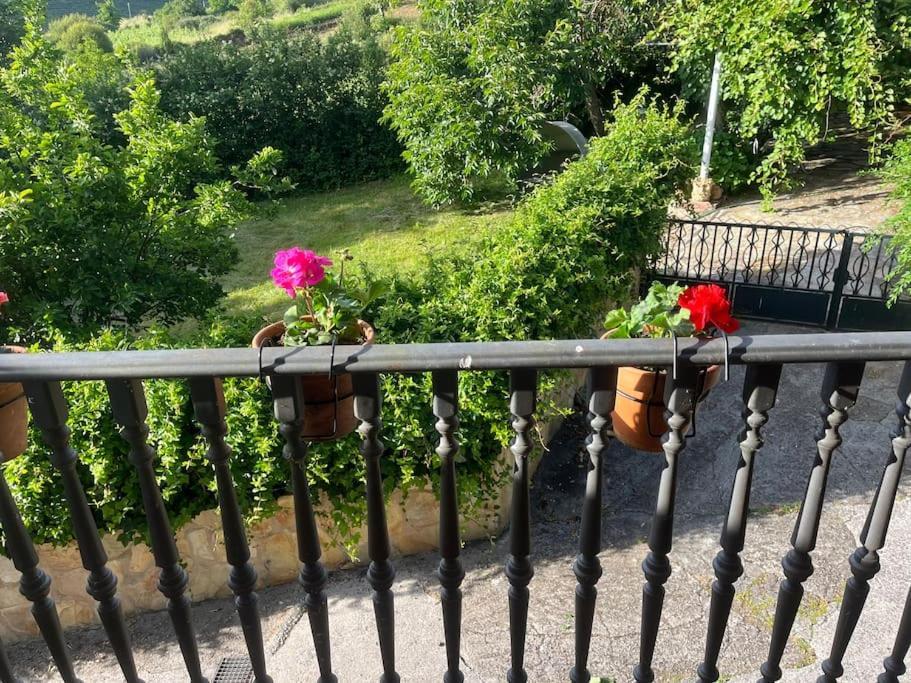 AbeledaCasa A Boga Ribeira Sacra别墅 外观 照片